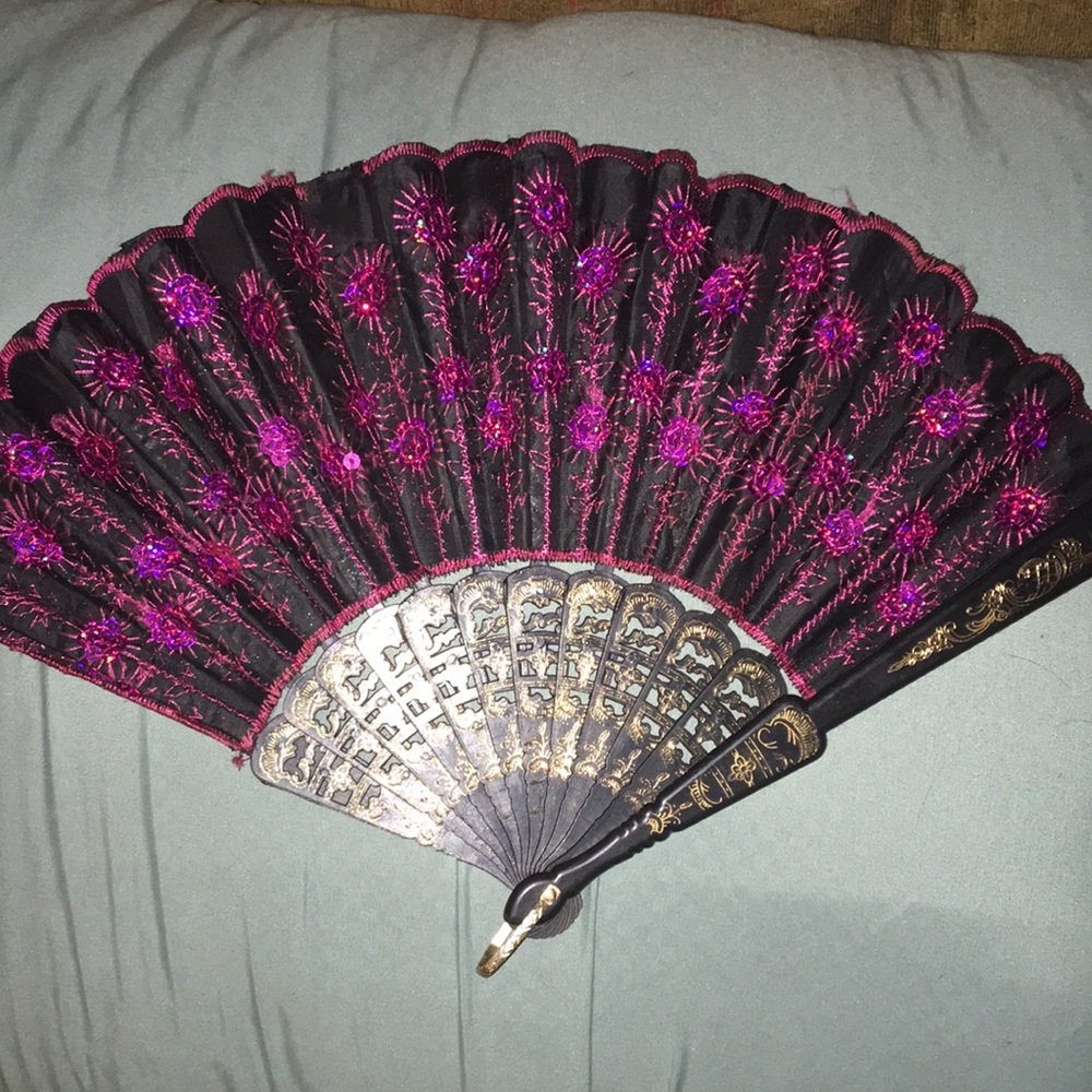 Beautiful “Chinese Fan”